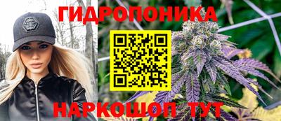 mdpv Можга