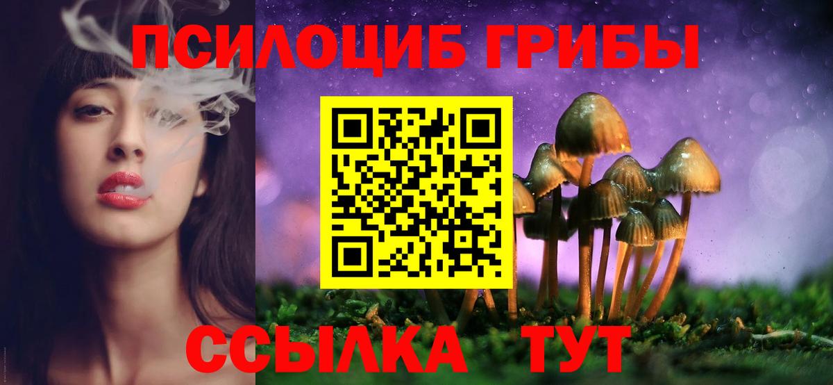 Тверь  Псилоцибиновые грибы Psilocybine cubensis  Вход с VPN 